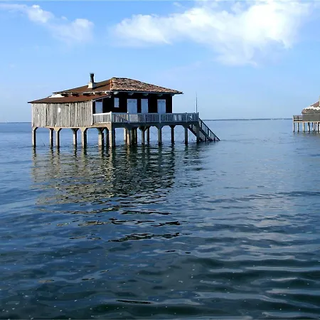 Apartment T2 A Arcachon, Proche Et Centre, Parking Prive, Tv, Wifi, Terrasse - Fr-1-319-506 *