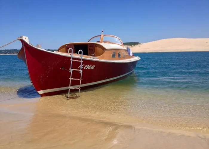 T2 A Arcachon, Proche Et Centre, Parking Prive, Tv, Wifi, Terrasse - Fr-1-319-506 アパート アルカション